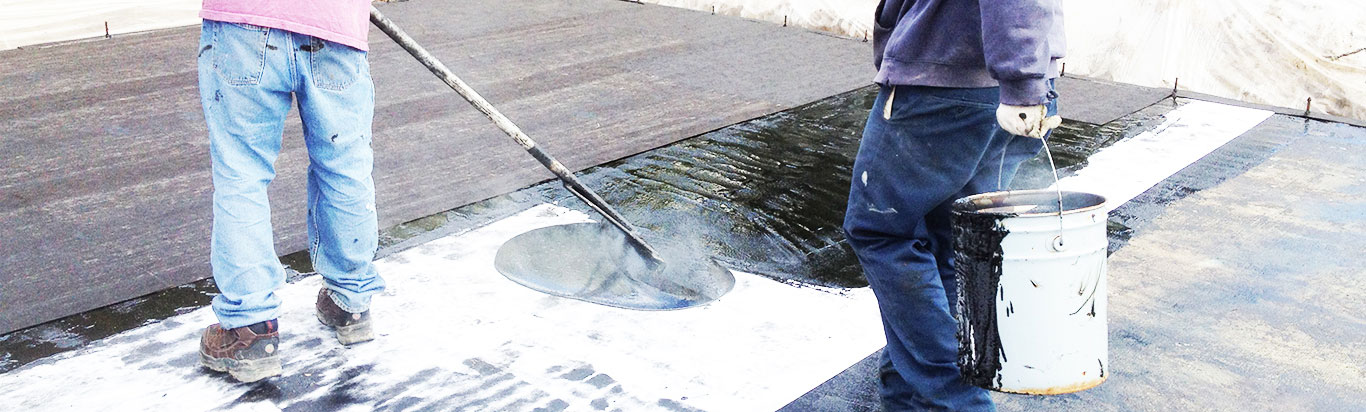 Primer coat ahead of a reflective finish